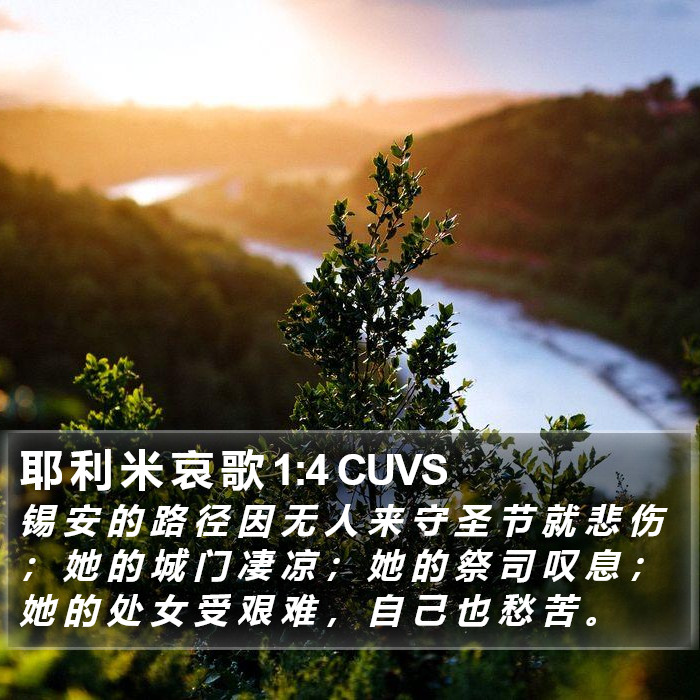 耶 利 米 哀 歌 1:4 CUVS Bible Study