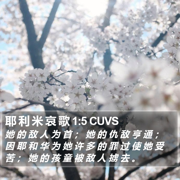 耶 利 米 哀 歌 1:5 CUVS Bible Study