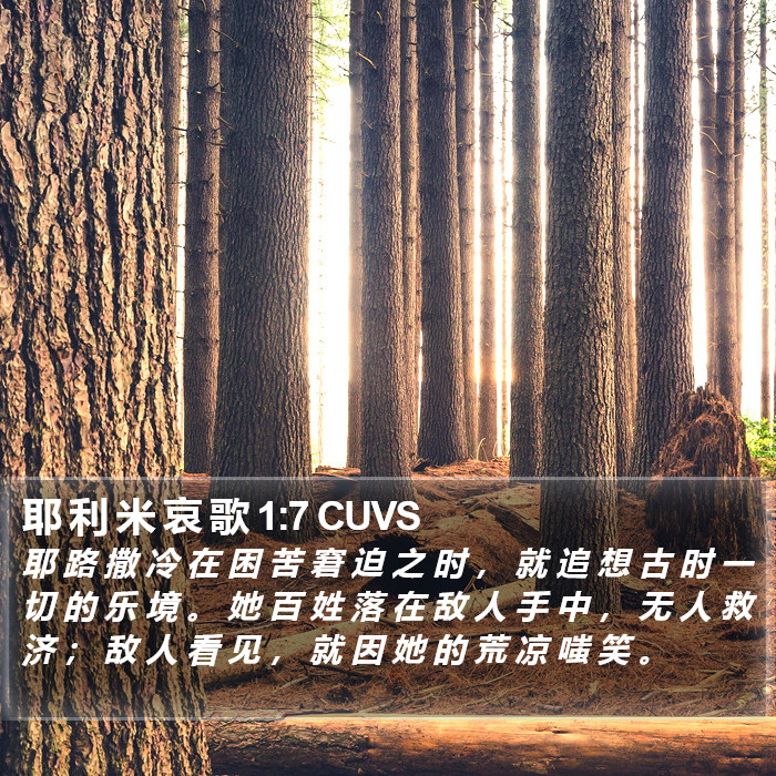 耶 利 米 哀 歌 1:7 CUVS Bible Study