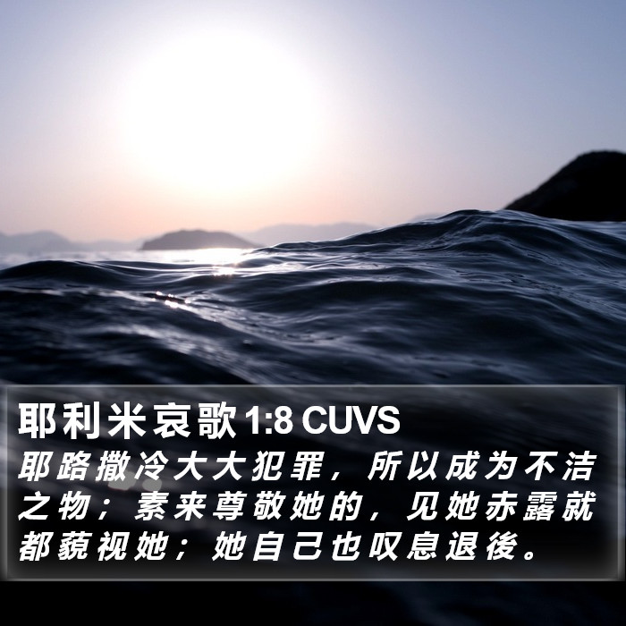 耶 利 米 哀 歌 1:8 CUVS Bible Study