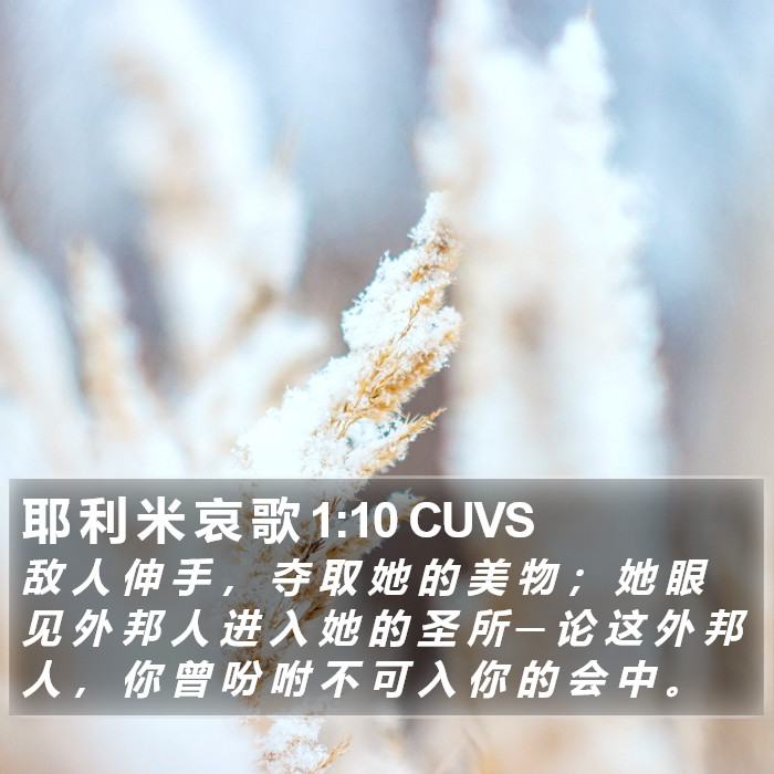 耶 利 米 哀 歌 1:10 CUVS Bible Study