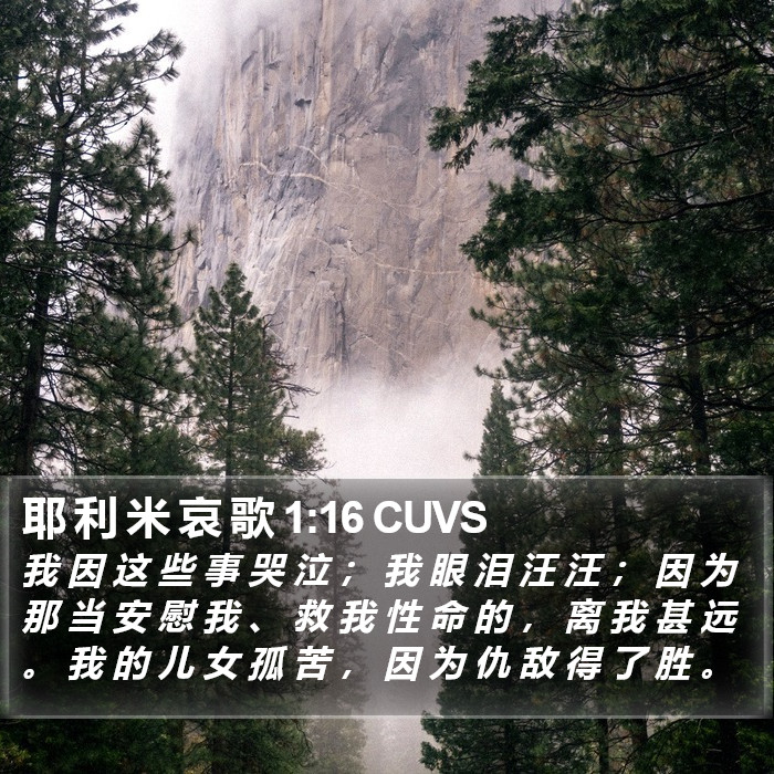 耶 利 米 哀 歌 1:16 CUVS Bible Study