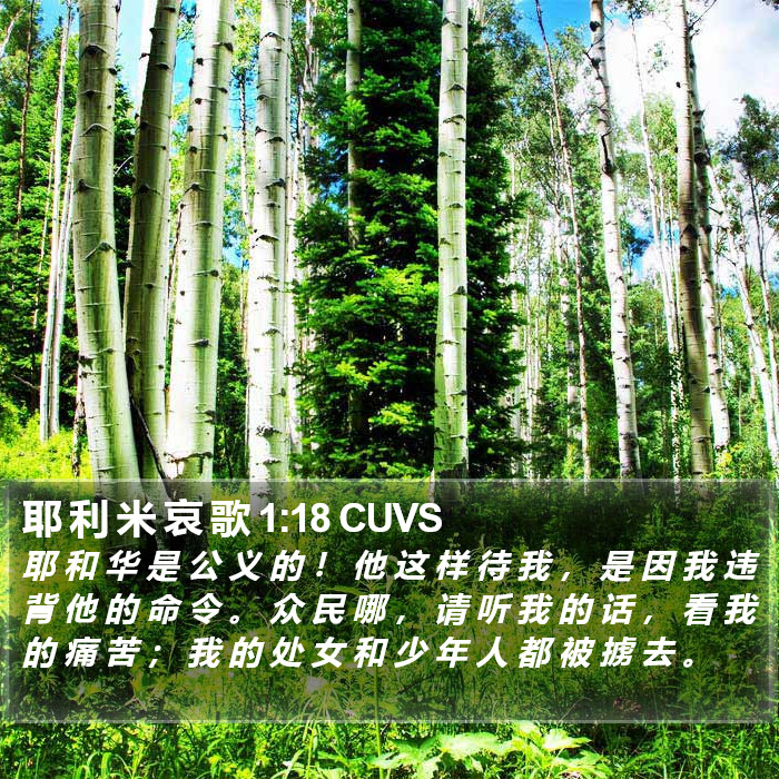 耶 利 米 哀 歌 1:18 CUVS Bible Study