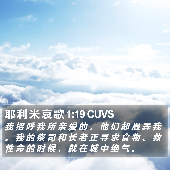 耶 利 米 哀 歌 1:19 CUVS Bible Study