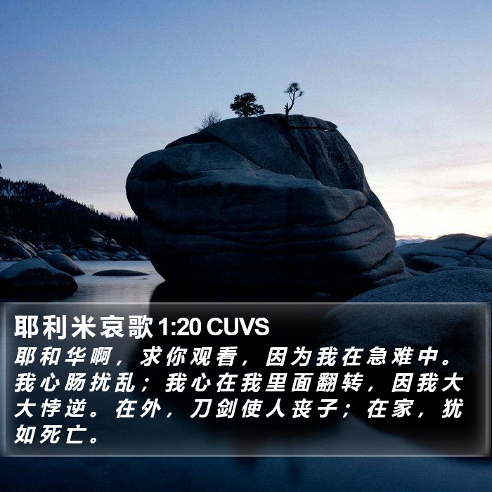 耶 利 米 哀 歌 1:20 CUVS Bible Study