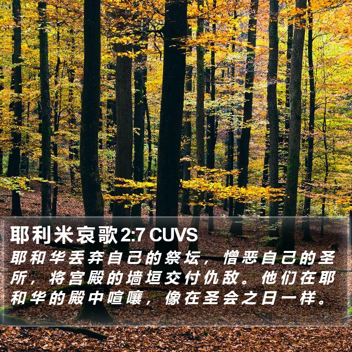 耶 利 米 哀 歌 2:7 CUVS Bible Study