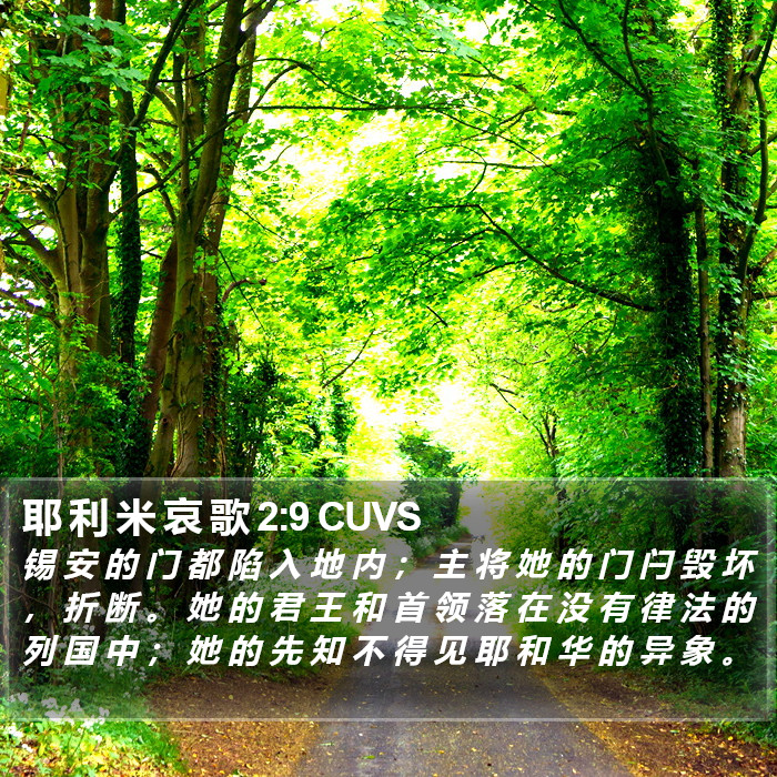 耶 利 米 哀 歌 2:9 CUVS Bible Study