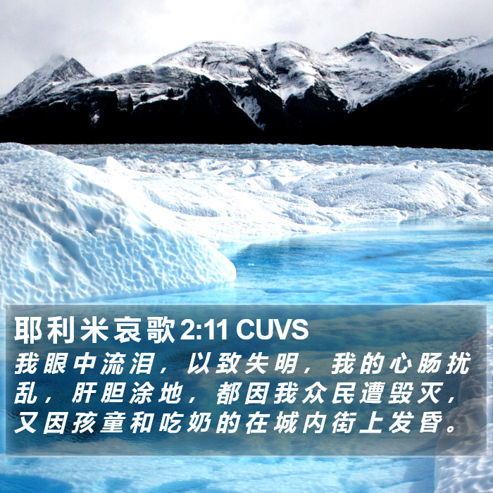 耶 利 米 哀 歌 2:11 CUVS Bible Study