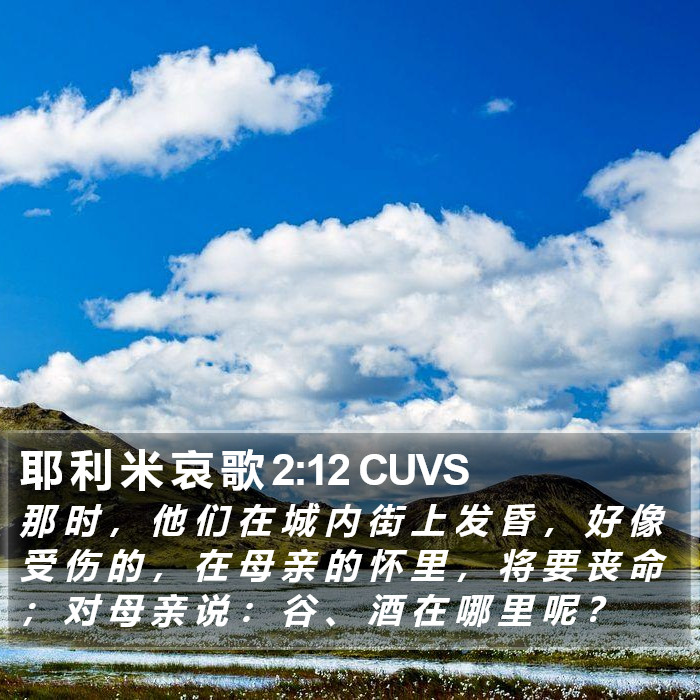 耶 利 米 哀 歌 2:12 CUVS Bible Study