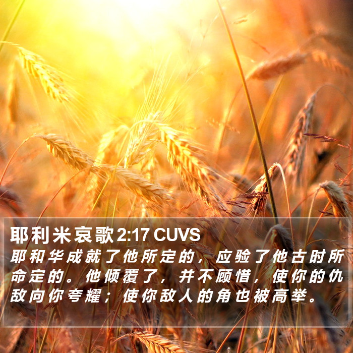 耶 利 米 哀 歌 2:17 CUVS Bible Study