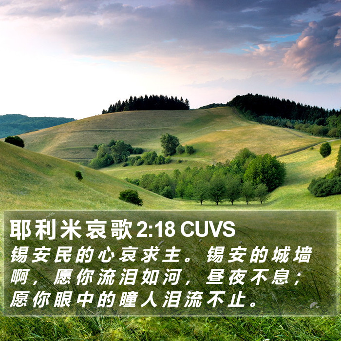 耶 利 米 哀 歌 2:18 CUVS Bible Study