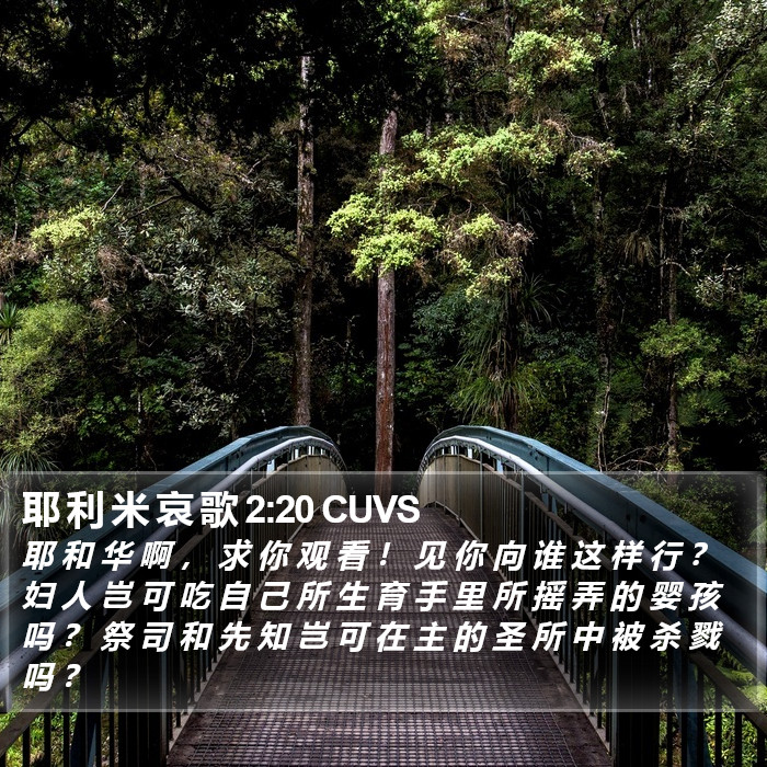 耶 利 米 哀 歌 2:20 CUVS Bible Study