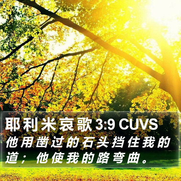 耶 利 米 哀 歌 3:9 CUVS Bible Study