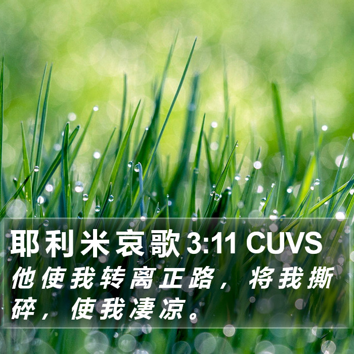 耶 利 米 哀 歌 3:11 CUVS Bible Study