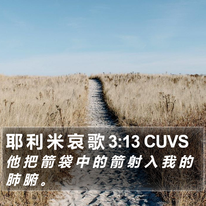 耶 利 米 哀 歌 3:13 CUVS Bible Study