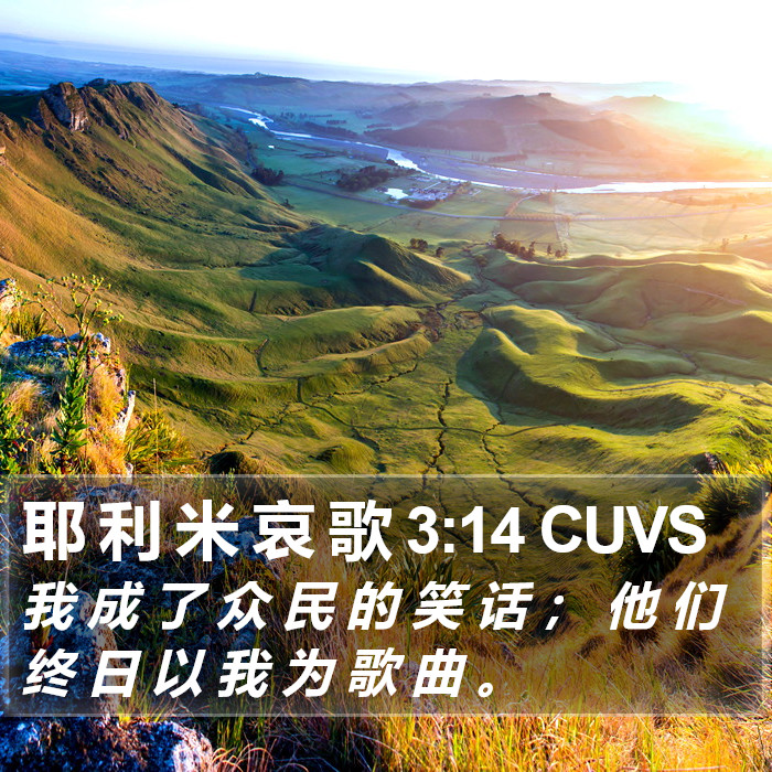 耶 利 米 哀 歌 3:14 CUVS Bible Study