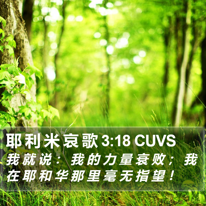 耶 利 米 哀 歌 3:18 CUVS Bible Study