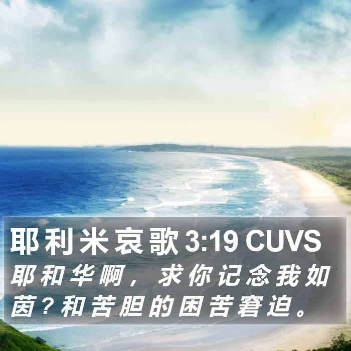 耶 利 米 哀 歌 3:19 CUVS Bible Study