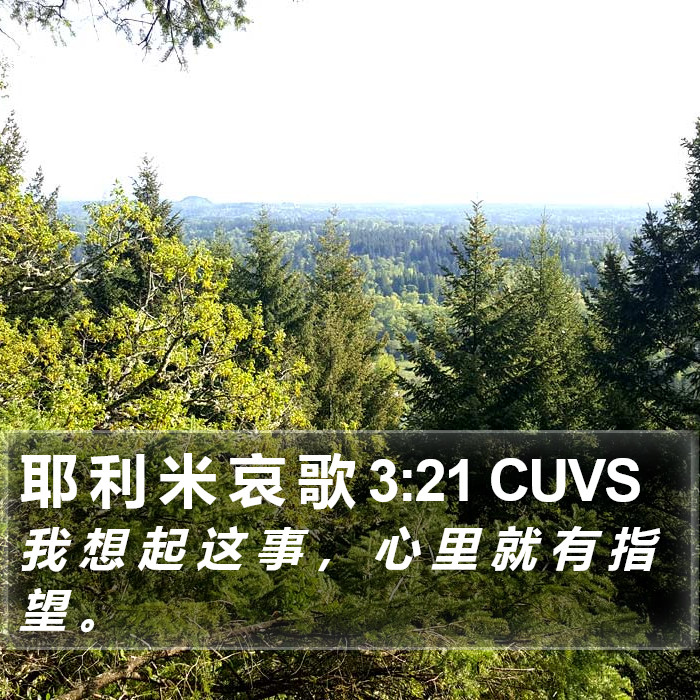 耶 利 米 哀 歌 3:21 CUVS Bible Study