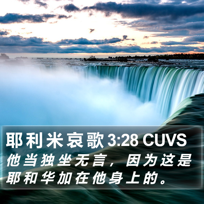 耶 利 米 哀 歌 3:28 CUVS Bible Study