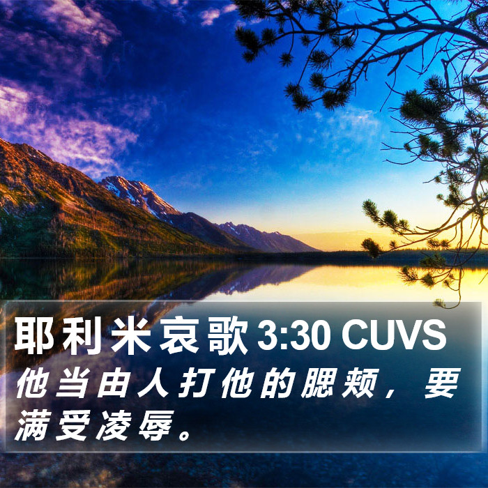 耶 利 米 哀 歌 3:30 CUVS Bible Study