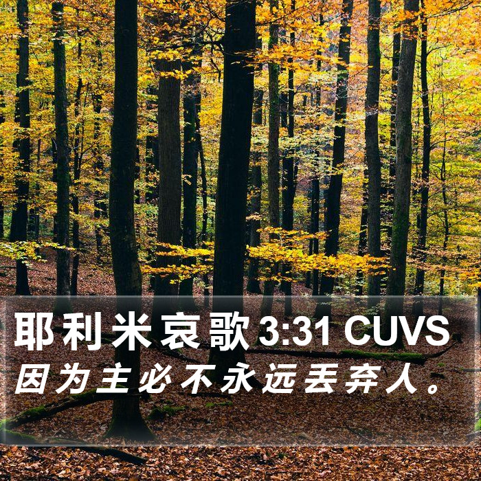 耶 利 米 哀 歌 3:31 CUVS Bible Study