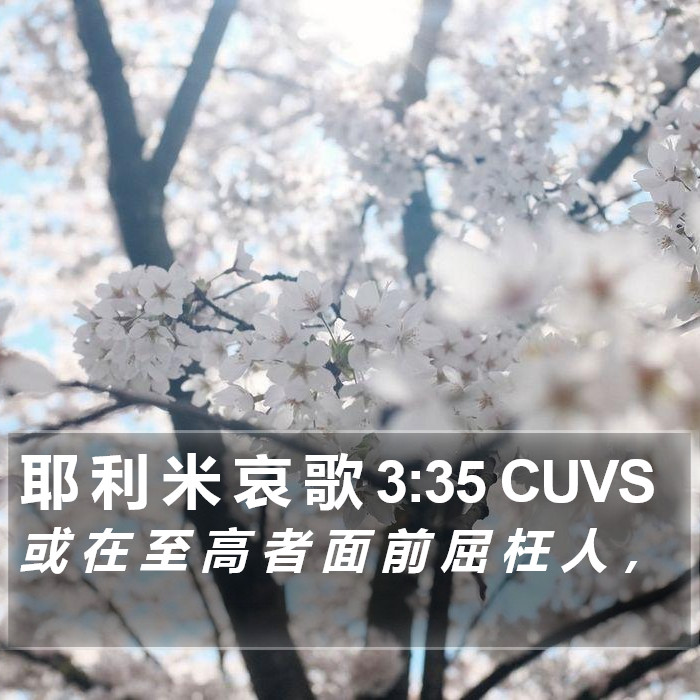 耶 利 米 哀 歌 3:35 CUVS Bible Study