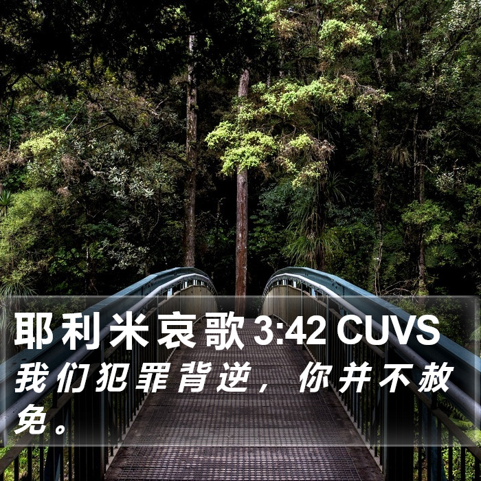 耶 利 米 哀 歌 3:42 CUVS Bible Study