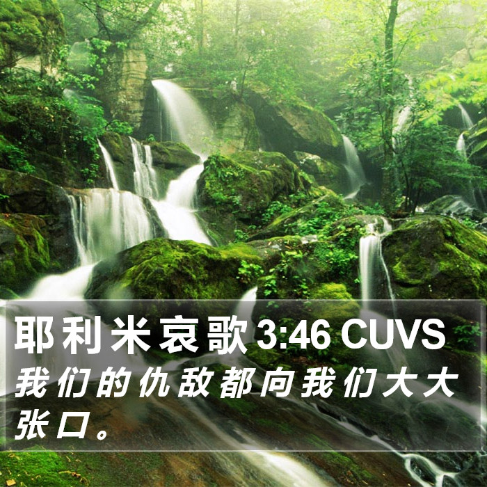 耶 利 米 哀 歌 3:46 CUVS Bible Study