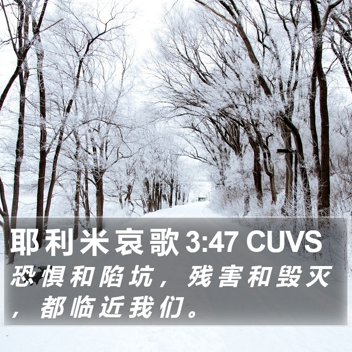 耶 利 米 哀 歌 3:47 CUVS Bible Study