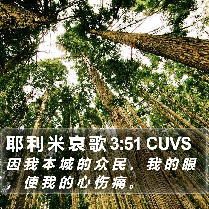 耶 利 米 哀 歌 3:51 CUVS Bible Study