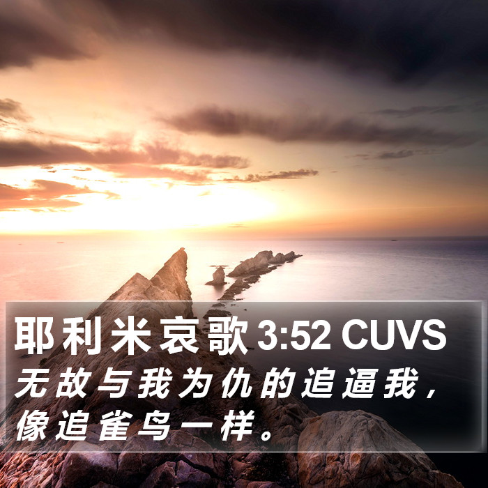 耶 利 米 哀 歌 3:52 CUVS Bible Study