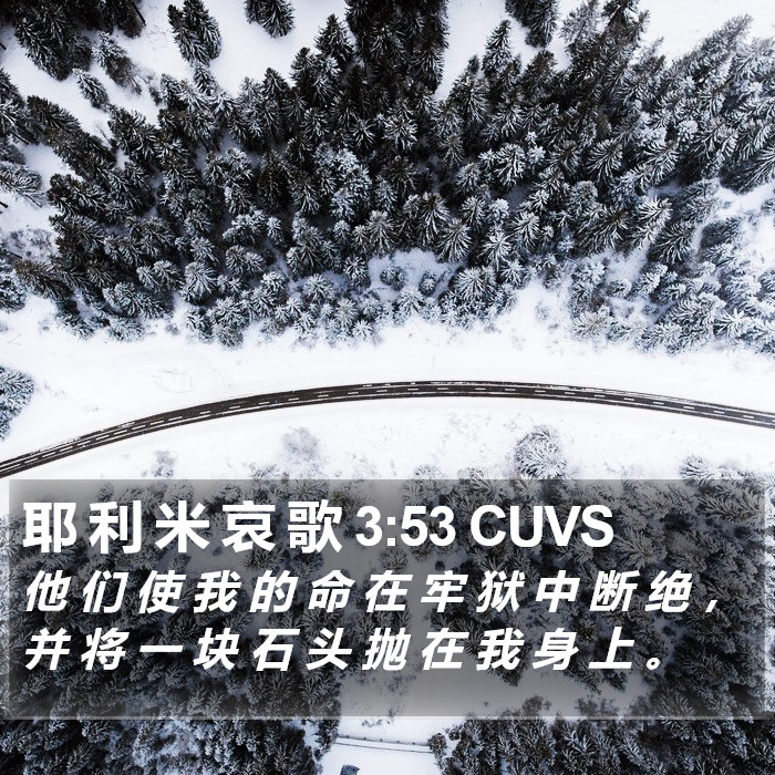 耶 利 米 哀 歌 3:53 CUVS Bible Study