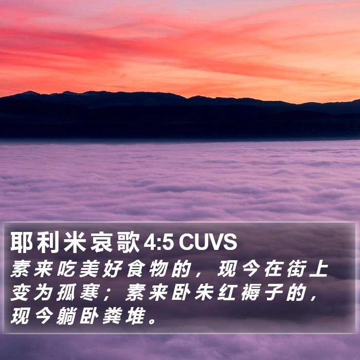 耶 利 米 哀 歌 4:5 CUVS Bible Study