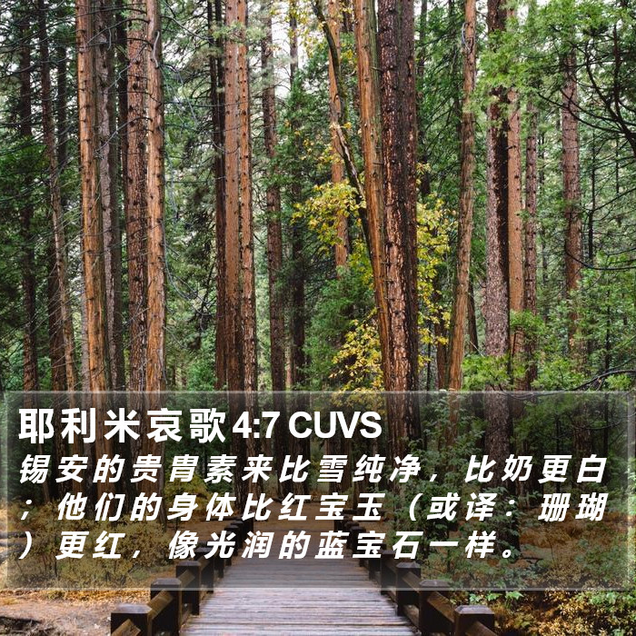 耶 利 米 哀 歌 4:7 CUVS Bible Study