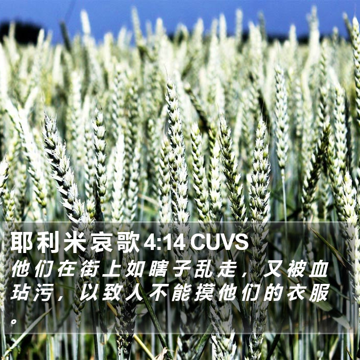 耶 利 米 哀 歌 4:14 CUVS Bible Study
