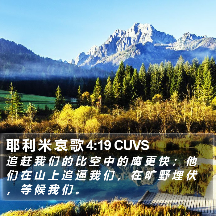 耶 利 米 哀 歌 4:19 CUVS Bible Study