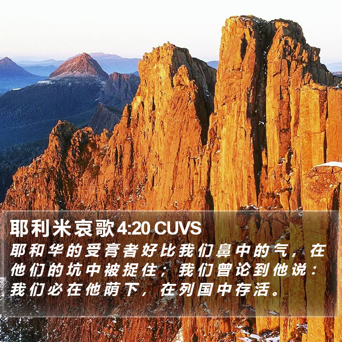 耶 利 米 哀 歌 4:20 CUVS Bible Study