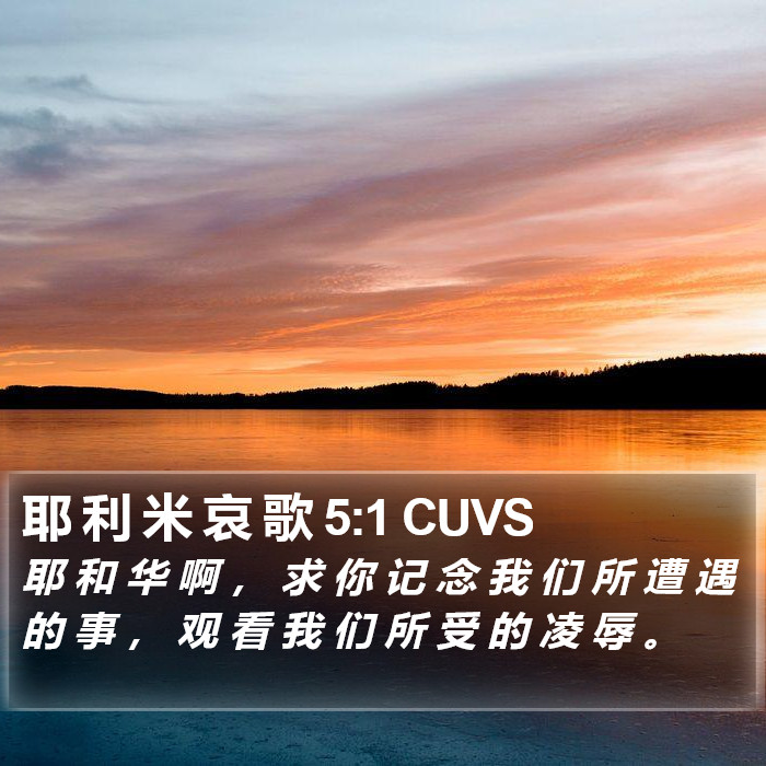 耶 利 米 哀 歌 5:1 CUVS Bible Study