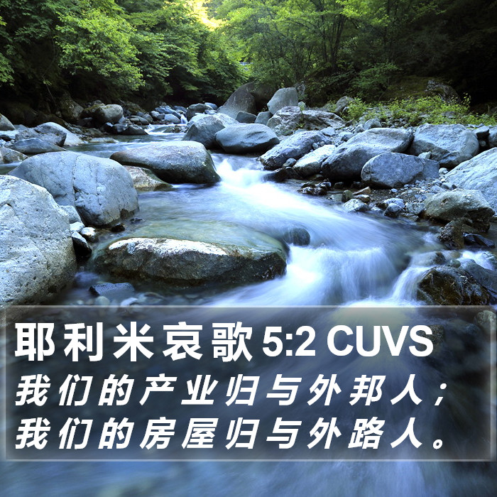 耶 利 米 哀 歌 5:2 CUVS Bible Study