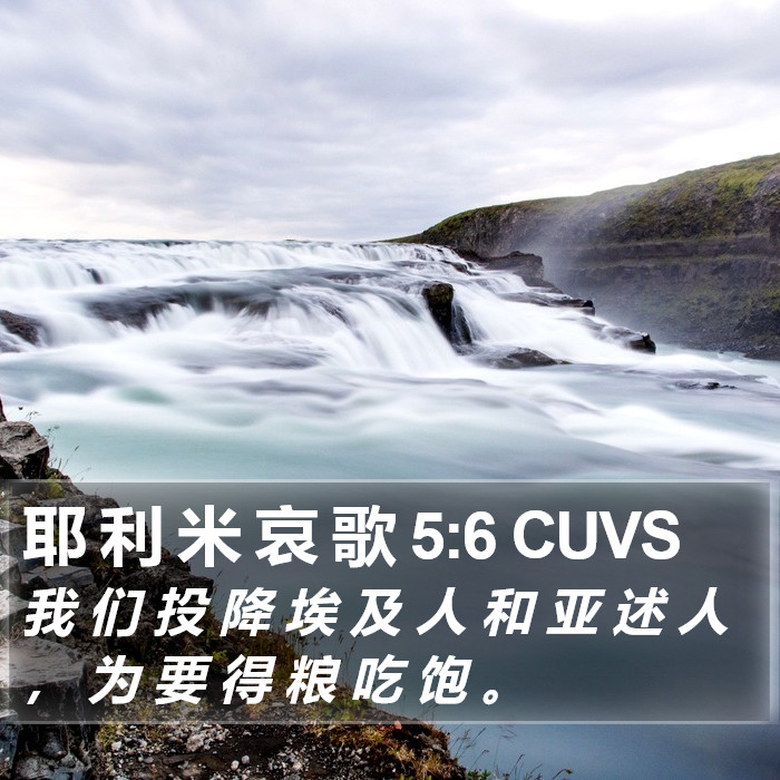 耶 利 米 哀 歌 5:6 CUVS Bible Study