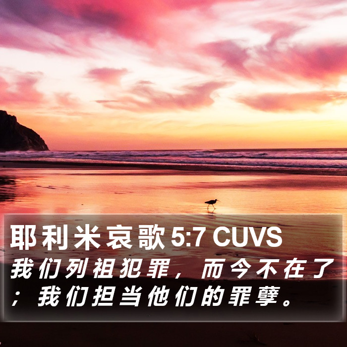 耶 利 米 哀 歌 5:7 CUVS Bible Study