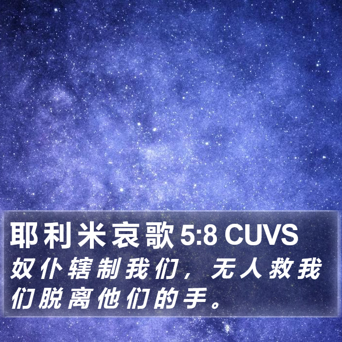 耶 利 米 哀 歌 5:8 CUVS Bible Study