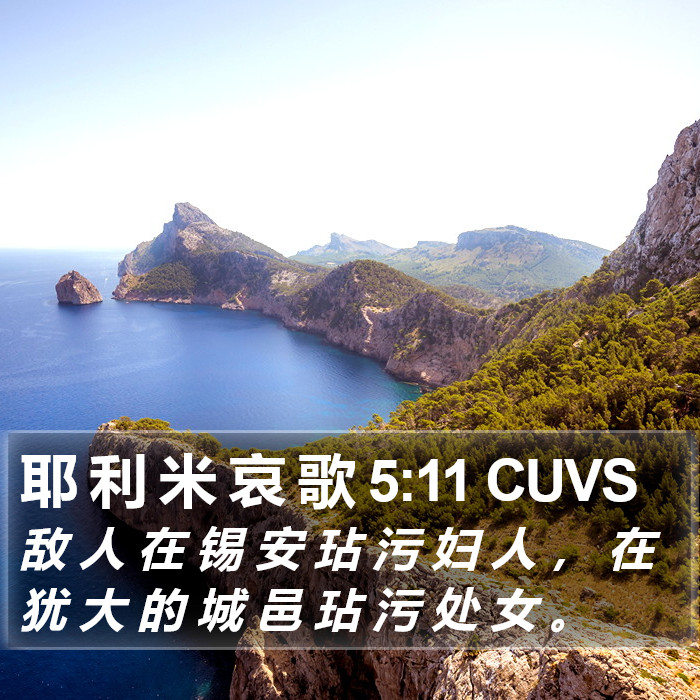 耶 利 米 哀 歌 5:11 CUVS Bible Study