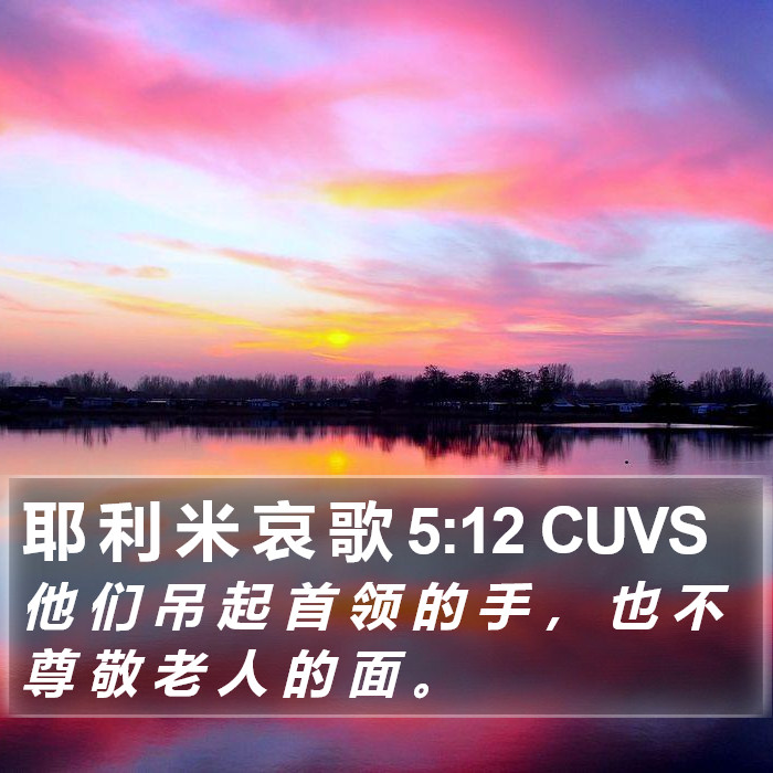 耶 利 米 哀 歌 5:12 CUVS Bible Study