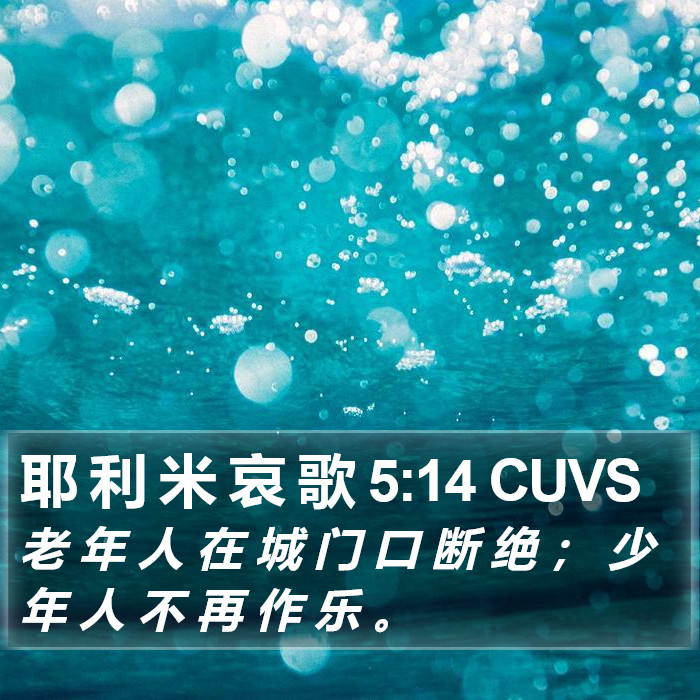 耶 利 米 哀 歌 5:14 CUVS Bible Study