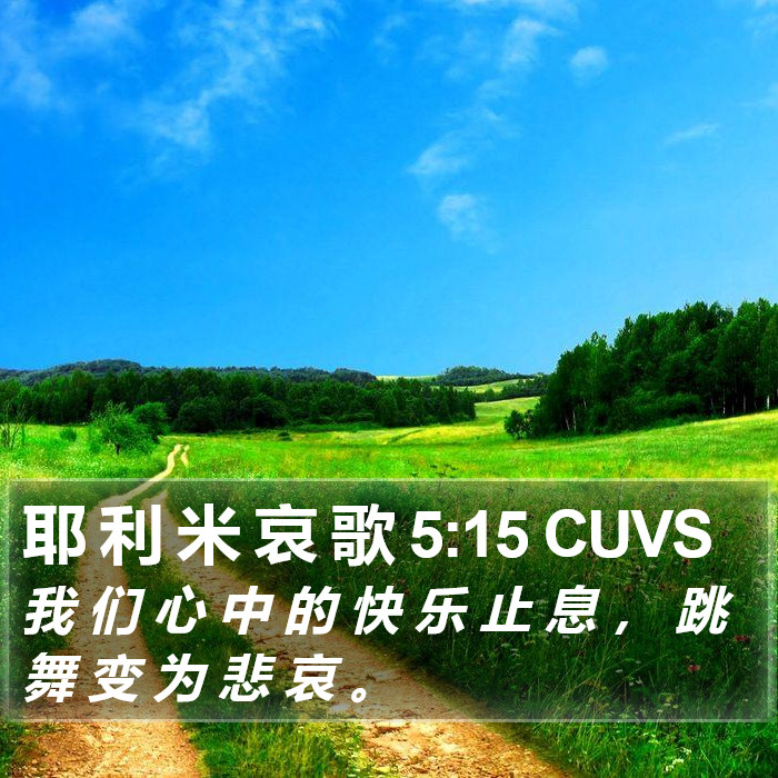 耶 利 米 哀 歌 5:15 CUVS Bible Study