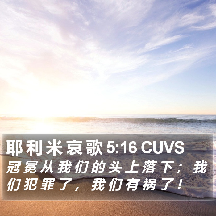 耶 利 米 哀 歌 5:16 CUVS Bible Study