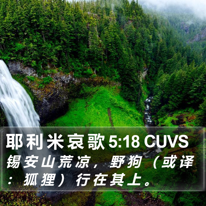 耶 利 米 哀 歌 5:18 CUVS Bible Study