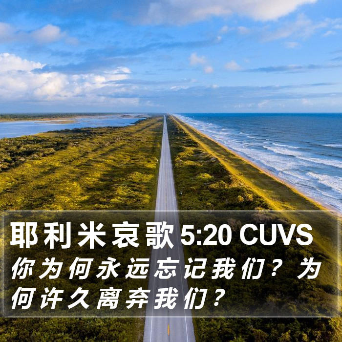 耶 利 米 哀 歌 5:20 CUVS Bible Study